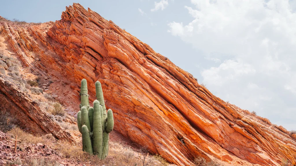 A saguaro cactus in front of an orange rock formation under a cloudy sky.