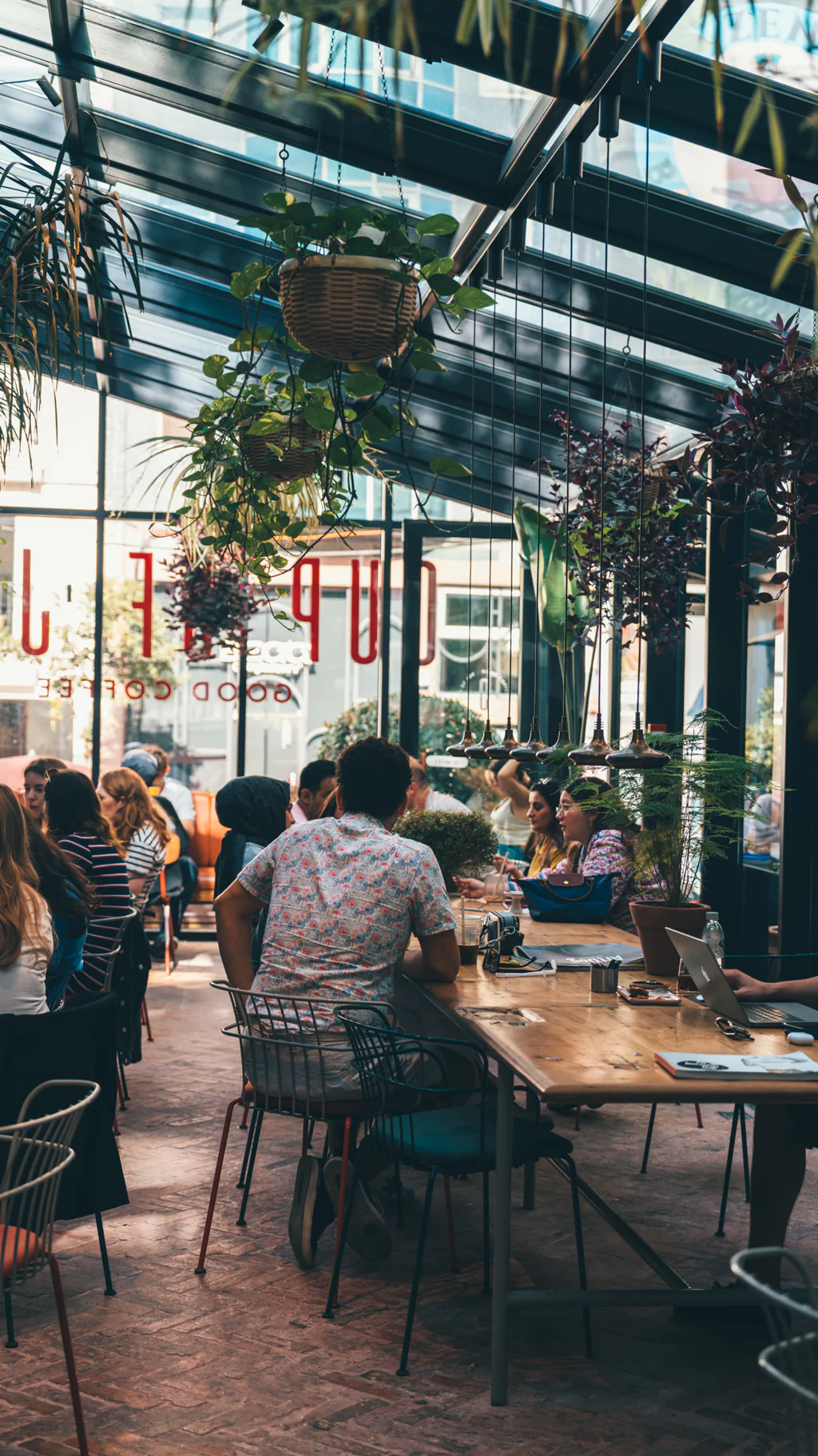 People socializing in a bright cafe with hanging plants and wooden tables.