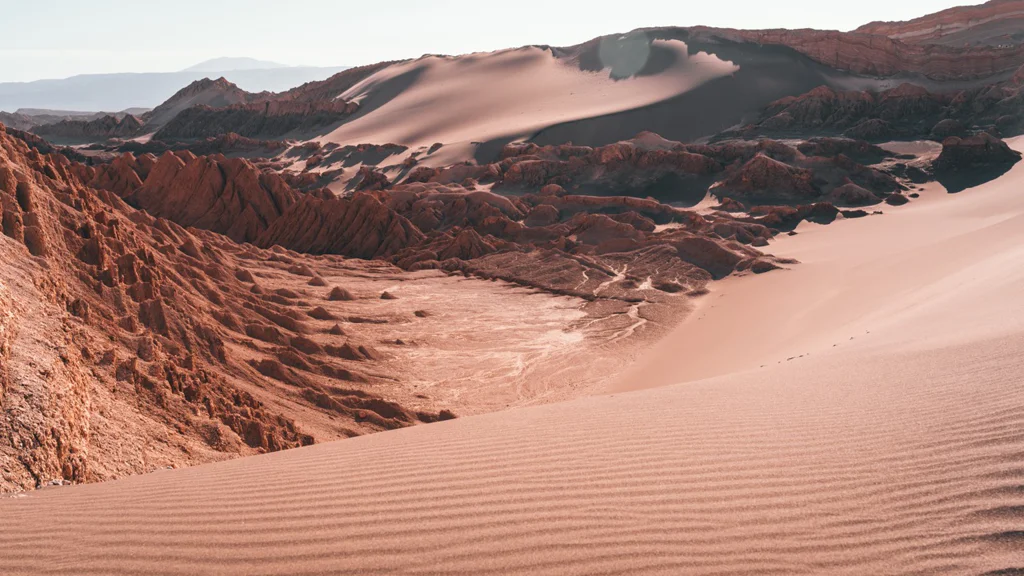 A wide view of sand dunes and rocky desert terrain under soft sunlight.