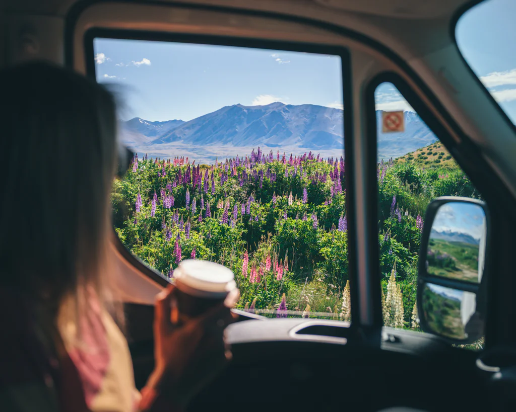 Person holding a cup inside a vehicle looking out at a colorful wildflower field and mountains.